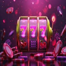 zbin 77